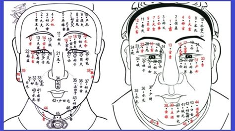 為什麼會長黑痣|痣是什麼？一次了解痣原因、就醫時機以及如何改善